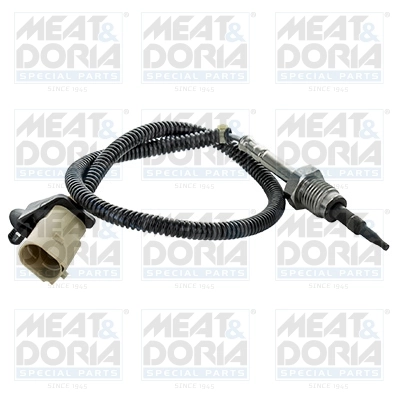 Sensor, exhaust gas temperature